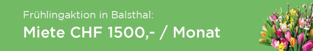 Aktionsbanner: Balsthal Miete jetzt nur 1500,- CHF pro Monat